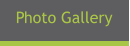 Photo Gallery